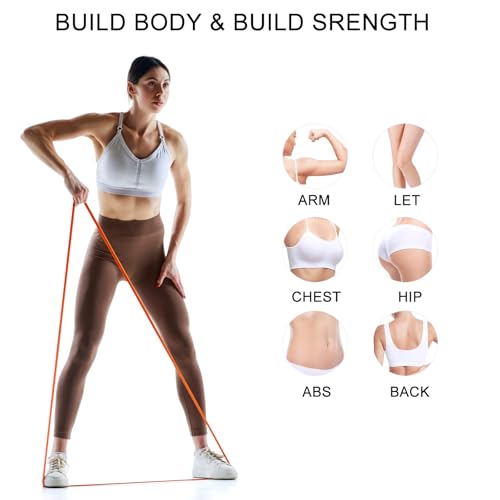 12-Pack Resistance Bands Set - Pull Up Assist, Strength Training & Physical Therapy for Home Gym | Exercise Loop Bands for...
