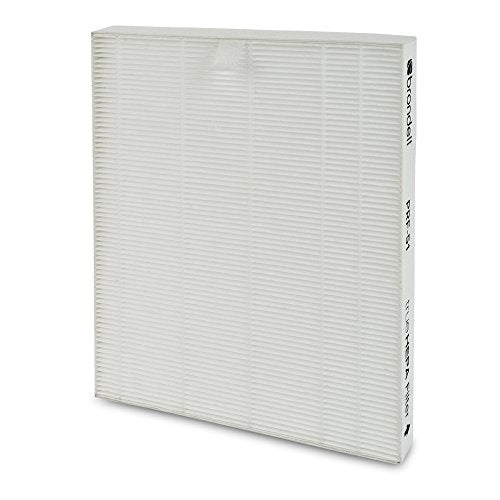 Brondell Air Purifier Replacement Filters for Revive - 1 yr. Standard Filter Pack - 2 True HEPA Filters, 1 Active Carbon F...