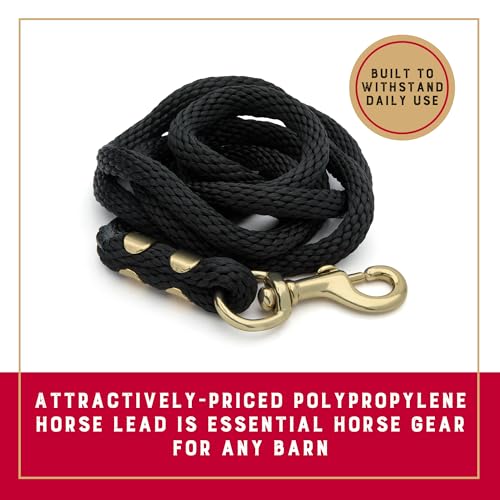 Weaver Equine Performance Lead Rope, Long Horse Lead Rope with Quick Halter Attachment, Soft Comfort Grip, Barn Horse Tack...