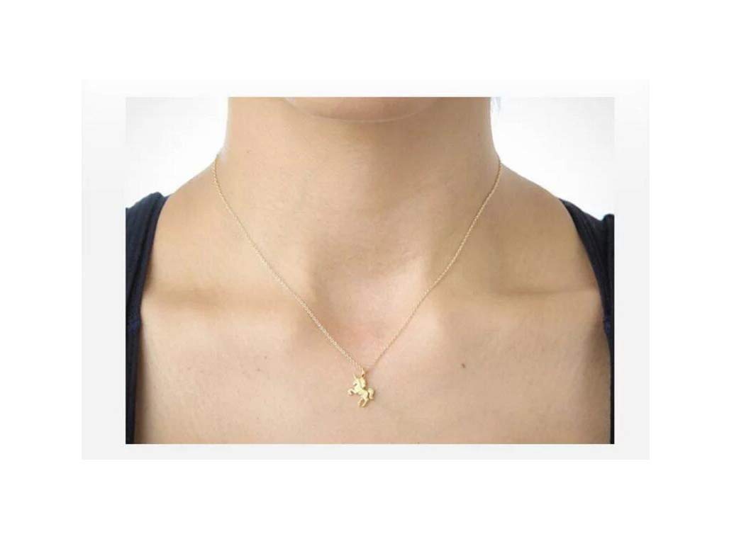 Baydurcan Unicorn Gifts Unicorn Necklace for Women with Message Card Gift for Daughter Granddaughter (unicorn)