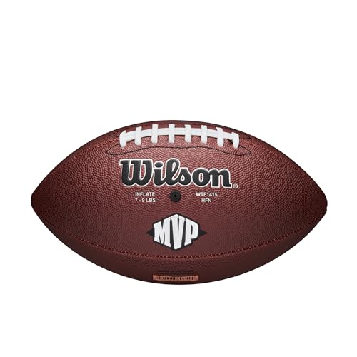 Wilson NFL Recreational Footballs
