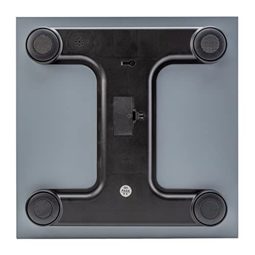 Talking Scales - Clear Loud North American Voice, Big Numbers Stylish Look (Stainless)