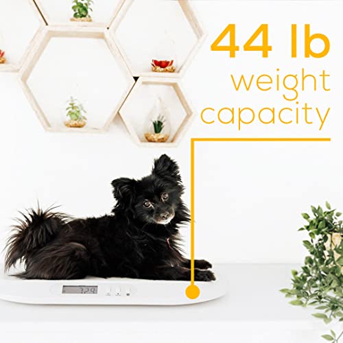Beurer BY90 Baby Scale, Pet Scale, Digital, with Measuring Tape, tracking weight with App | For: Infant, Newborn, Toddler...