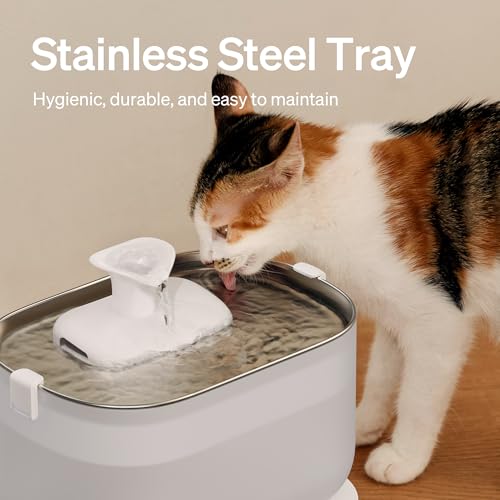 PETLIBRO Cat Water Fountain, Cat Fountain Indoor Stainless Steel Tray, 2.5L/84oz Wireless Pump Pet Water Fountain, Cat Wat...
