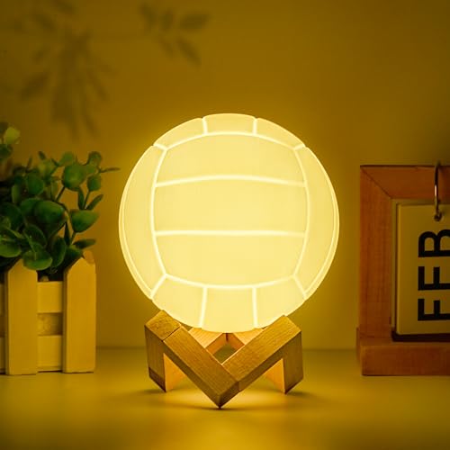 Mydhall Volleyball 3D Night Light with Remote,16 Color Bedside Table Lamp Gifts for Dad,Men,Boys,and Kids Sports Fan Room ...
