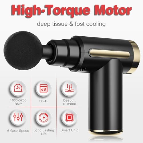 Mini Massage Gun Deep Tissue Muscle Massager with 6 Speeds & 4 Massage Heads, Super Quiet Handheld Percussion Massager for...