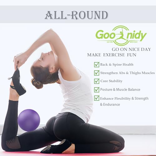Soft Pilates Ball 9 Inch, Ideal Small Exercise Ball Between Knee Squeeze for Physical Therapy Yoga Core Medicine Abs Pt Bo...