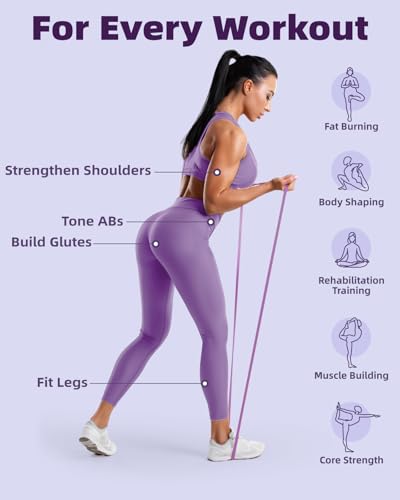 Fitense Resistance Bands Set - Pull Up Bands for Men Women, Exercise Bands Resistance with Door Anchor, Training Poster & ...
