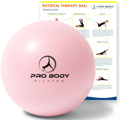 ProBody Pilates Exercise Balls Physical Therapy - 9 Inch Small Exercise Ball for Between Knees for Rehab, Barre, Core, Sta...