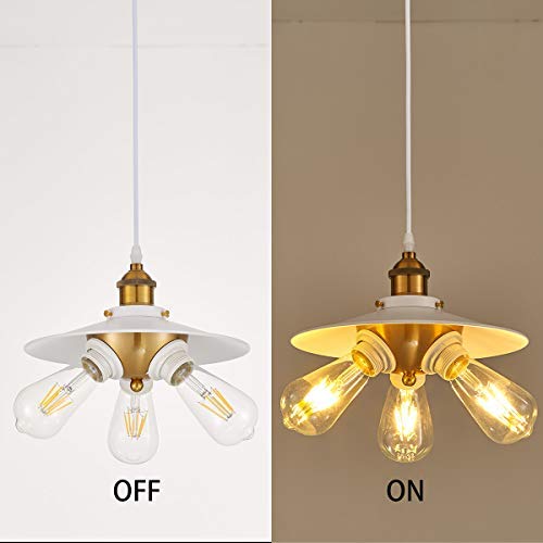 YLONG-ZS Hanging Pendant Light with 16.4 FT Cord and On/Off Switch, White, Model 791809449601