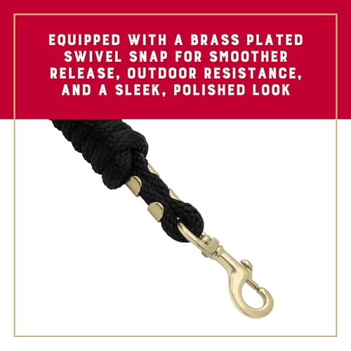 Weaver Equine Performance Lead Rope, Long Horse Lead Rope with Quick Halter Attachment, Soft Comfort Grip, Barn Horse Tack...