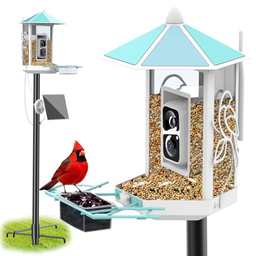 Onlyfly Metal Bird Feeder with Camera and 74.5 Inch Pole - Smart Camera Bird Feeder Solar Powered with 2k Live Stream for ...