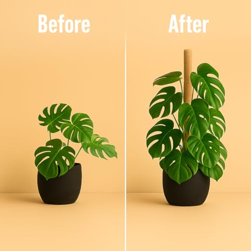 Craft911 Moss Pole Monstera Plant Support – 2 Pack 28” Bendable Moss Pole Monstera Plant Support, Plant Stakes for Indoor ...