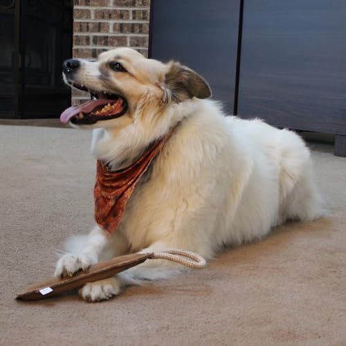 SPOT Dura-Fused Leather Retriever Dog Toy – Real Leather & Jute Fabric, Double-Stitched & Durable, Squeaky Interactive Tug...