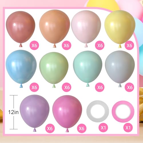NACHLYNN 60 pcs Party Latex Balloons 12 inches Pastel Rainbow Birthday Balloons for Birthday Baby Shower Wedding Rainbow P...