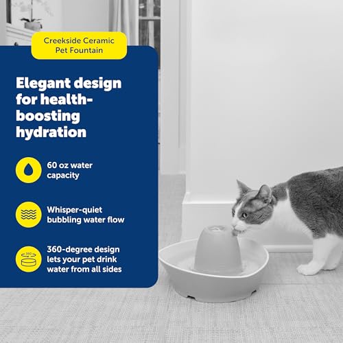 PetSafe Ceramic Pet Fountain – for Cats and Small Dogs – 60 Oz Water Capacity – Whisper-Quiet Water Flow – Great for Shy o...