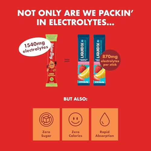 Waterboy Daily Hydration | 1,570mg Electrolyte Powder Packets | No Sugar, All Natural, Gluten Free, Zero Calories | 15 Dri...