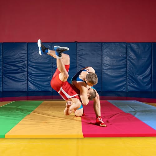 BalanceFrom 6x4 Feet 4-Panel Folding Gymnastics Mat – 2-Inch Thick Pad with Vinyl Surface and Carrying Handles for Tumblin...