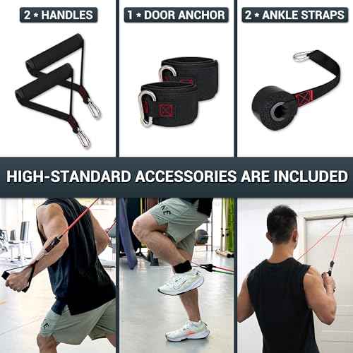TheFitLife Exercise Resistance Bands with Handles - 5 Fitness Workout Bands Stackable up to 110/150/200/250/300 lbs, Train...