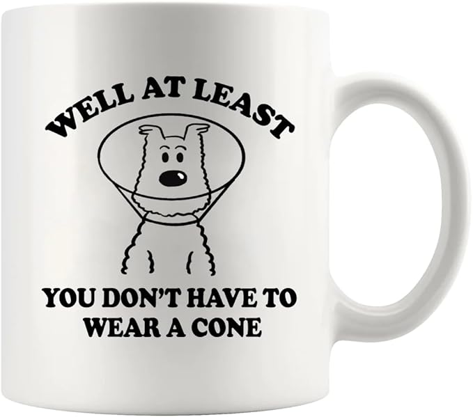 Well At Least You Don’t Have To Wear A Cone Get Well Soon Gifts For Women After Surgery Men Recovery Gifts From Friends Fe...