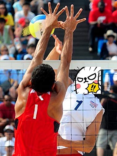 Professional Volleyball Net Outdoor with Aircraft Steel Cable, Heavy Duty VolleyballNet for Backyard, 32x3FT Portable Voll...
