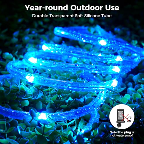 Minetom Color Changing Rope Lights Outdoor, 33FT 100 LED String Lights with Plug & Remote, Waterproof Christmas Light Outd...