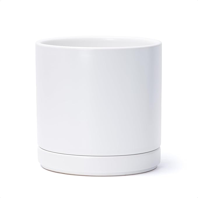 D'vine Dev 8 Inch Ceramic Planter Pot with Drainage Hole and Saucer, Indoor Cylinder Round Planter Pot, White, 94-O-D-1