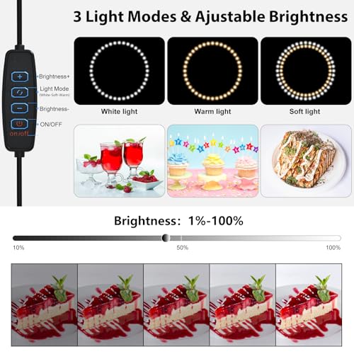 BENOISON Light Box Photography - 16"x16"x12" Portable Shooting Tent with 120 LEDs & 6 Backdrops for Jewelry Watches Cosmet...