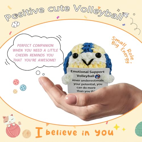 Handmade Crochet Volleyball - Gift for Volleyball Lovers,Valentine's Day,Birthday Emotional Support,Unique Volleyballs Gif...