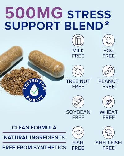 Terranics Ashwagandha L-Theanine Supplement for Stress Relief, Combined with GABA, Lemon Balm, Chamomile Flower Extract, N...