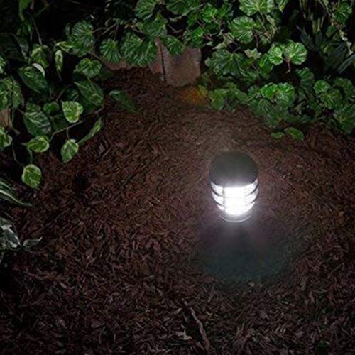 Makergroup LED Light Bulbs, Wedge Base, 12VAC/DC, 1W, Cool White, 6 Count, Plastic