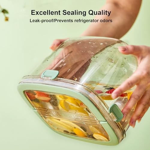 Yamteck Portable Ice Bucket with Lid & Tong for Outdoor Camping, Clear Plastic Storage Bin for Freezer, Refrigerator, Whis...