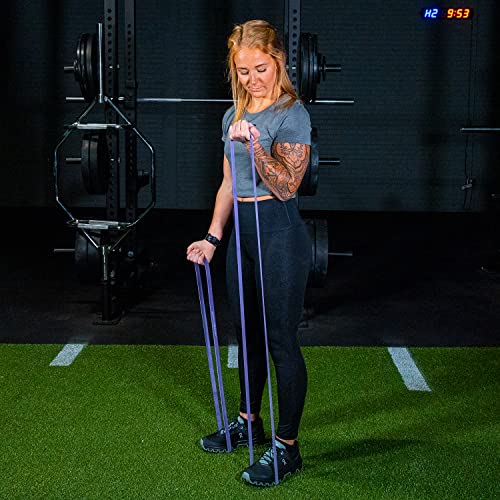 Serious Steel Fitness 32" Resistance Training Bands (Portable Exercise Band System Training Bands- Great for Individuals U...