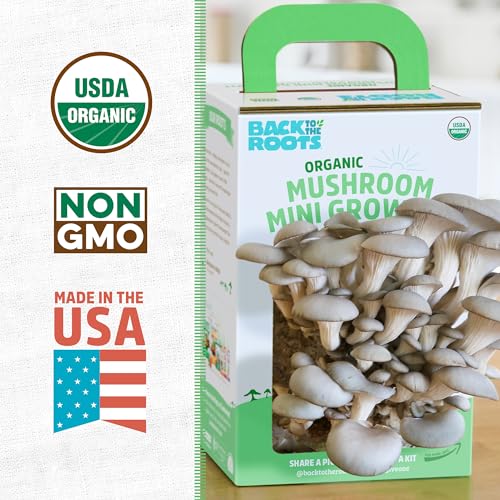 Back to the Roots Organic Mini Mushroom Grow Kit, Harvest Gourmet Oyster Mushrooms In 10 days, Top Gardening Gift, Holiday...