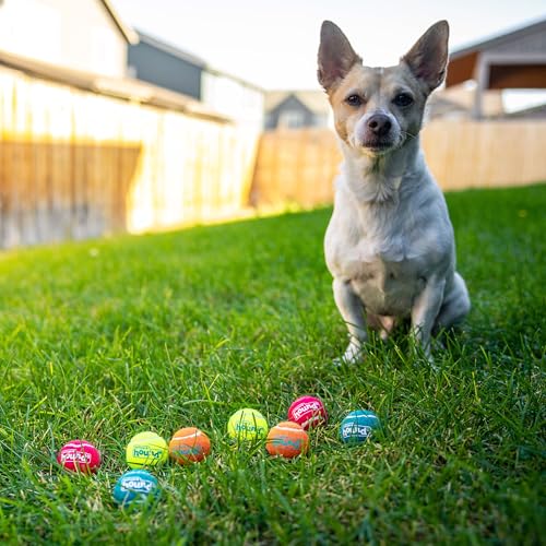 Outward Hound Squeaker Ballz – Squeaky Tiny Tennis Balls for Small Dogs Under 15 lbs, Fetch & Training, X-Small (1.5"), 8-...