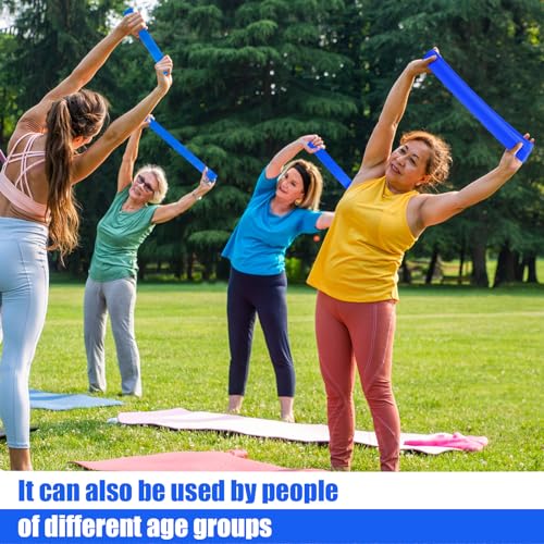 Deekin 20 Pcs Resistance Bands Resistance Loop Exercise Bands Exercise Equipment Elastic Drap Ring for Women and Men Home ...