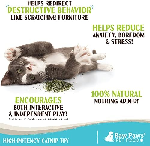 Raw Paws Fresh Catnip for Cats, 1-oz (2 Cups) - Use for Refillable Catnip Toys for Cats - Natural Dried Cat Nip