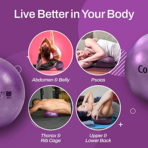 Tune Up Fitness – Coregeous Ball | Psoas Release Tool, Abdominal, Belly & Lower Back Release | Core Ball, Exercise Ball fo...