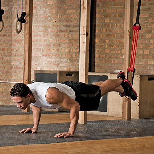 Lifeline Pull Up Revolution Assistance System to Improve Arm, Shoulders and Chest Strength with Assisted Pull Ups and Chin...