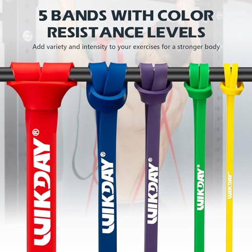 WIKDAY Resistance Bands for Working Out, Exercise Bands, Workout Bands, Pull Up Assistance Bands for Body Stretching Train...