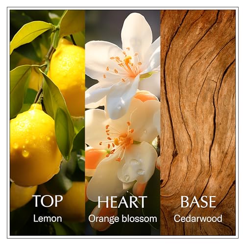 Chanson Lemon Eau de Toilette 3.4 fl oz (Pack of 1), Notes of Lemon, Orange Blossom, and Cedar, Women's Fragrance, Long Lasting, Everyday Fragrance, Travel Size