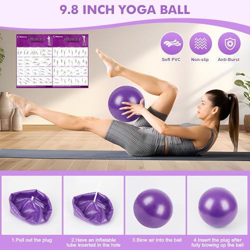 Goocrun Pilates Ring Set with Resistance Bands Set, Pilates Ball, Sliding Disks – Workout Equipment Home Gym Includes Comp...