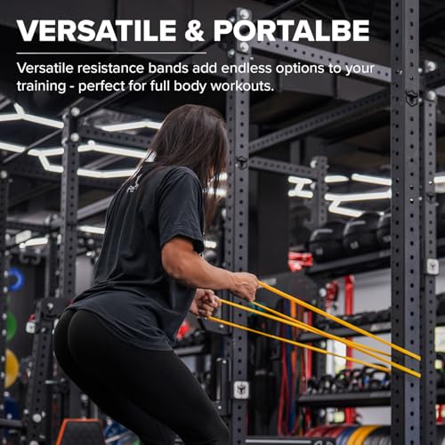 Pull Up Bands, Resistance Bands (Set of 5) – Pull Up Assistance Bands Set – Exercise Workout Bands for Working Out, Streng...