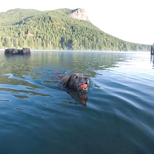 Chuckit! Ultra Ball Dog Toy - Size XL - For Dogs 100+ lbs - Made from Durable Rubber - Super Bouncy - Floats in Water - 3....
