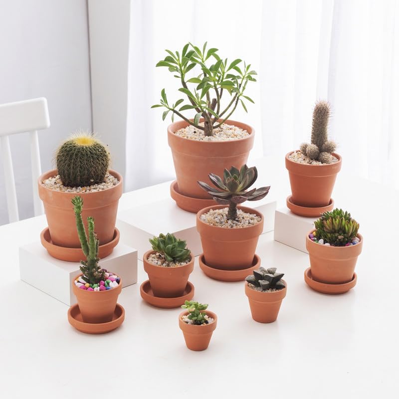 Fcacti 3 inch Small Terra Cotta Plant Saucers, Round Pot Drip Trays,Durable Thicker Clay Plant Tray Flower Pot Saucers for Outdoors Indoors Flower Pots and Planters,Pack of 30