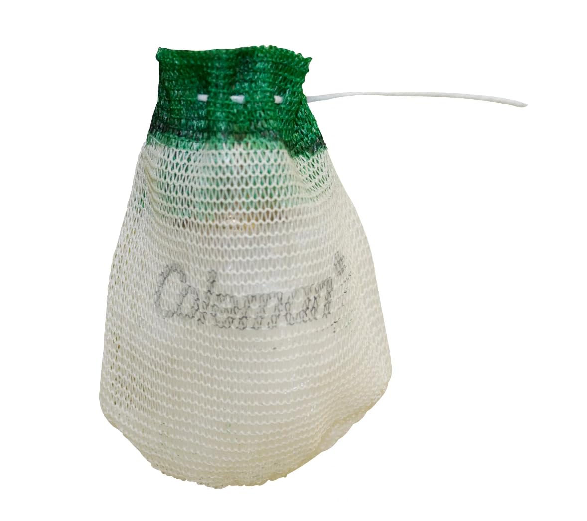 Coleman Lantern Mantles 4-Pack, Optimized String Tie Design, Aluminum, Multi, Model 3000004344