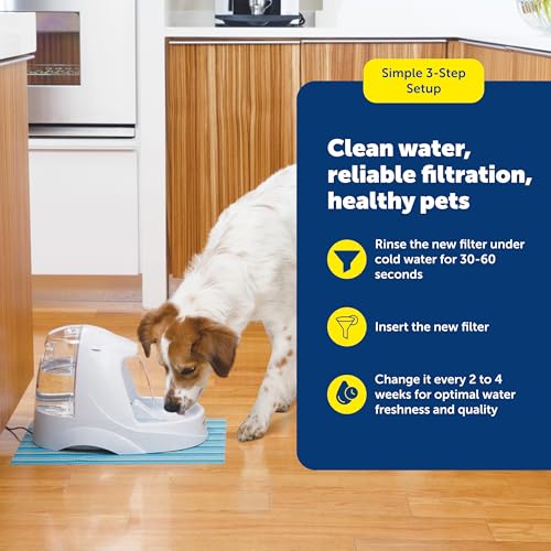 PetSafe Drinkwell Fountain Premium Activated Carbon Filters - Better Hydration Choice - Long-Lasting Purity - Odor-Free Dr...