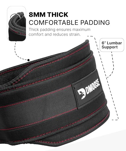 DMoose Fitness Dip Belt for Weight Lifting, Pullup, Squats & Dips - 36" Robust Steel Chain, Comfortable Neoprene Padding S...