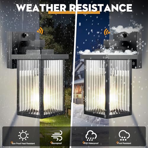 hameso Dusk to Dawn Outdoor Lighting, Waterproof Outdoor Porch Light with Tempered Glass, Outdoor Light Fixture for House ...