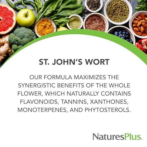 NaturesPlus Herbal Actives St John's Wort, Extended Release - 60 Tablets - Non-GMO, Vegetarian, Gluten Free - 60 Servings